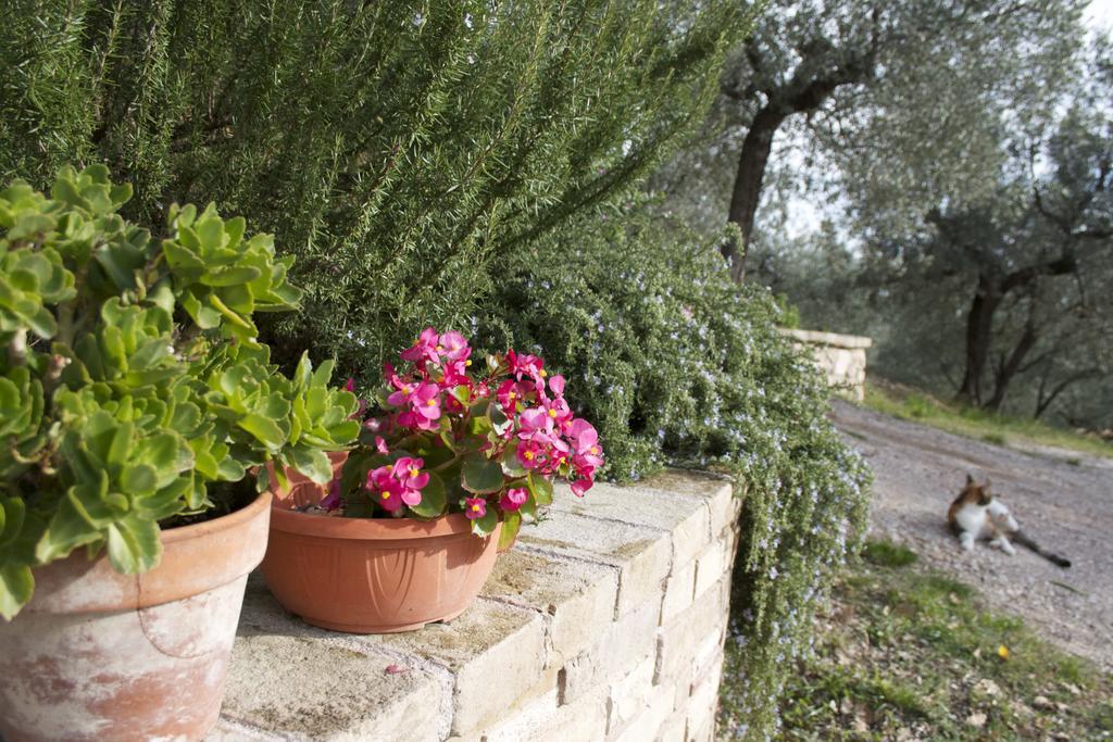 B&B Lavanda E Rosmarino アッシジ エクステリア 写真