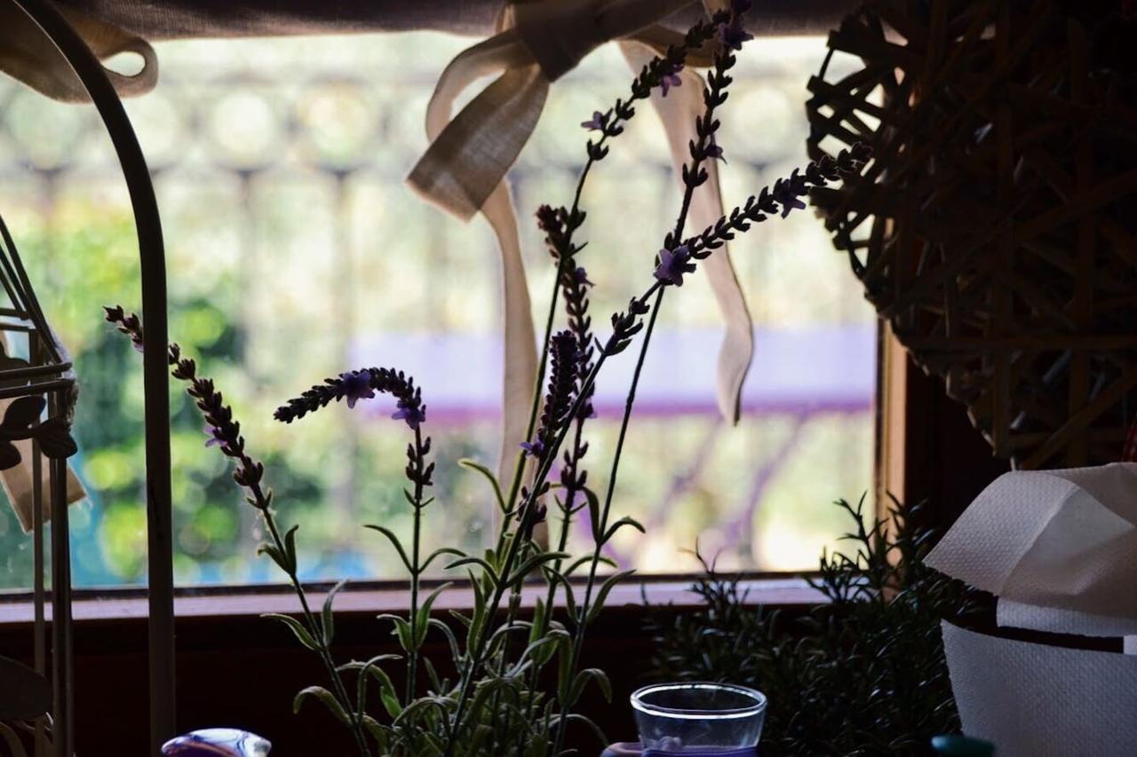 B&B Lavanda E Rosmarino アッシジ エクステリア 写真